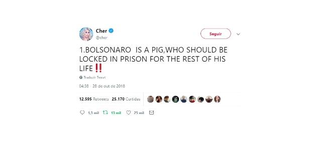 Cher contra Bolsonaro - Reprodução/ Twitter - Reprodução/ Twitter