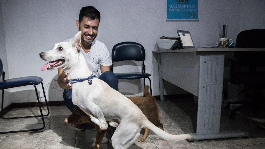 Tintim, o cão com deficiência nas patas que foi abandonado, ganha novo lar - Thales Ferreira/Prefeitura de São Leopoldo