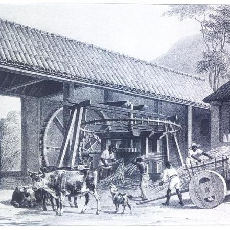 O engenho de açúcar fluminense do século XIX - Moulin à sucre, par Rugendas, 1835 - Moulin à sucre, par Rugendas, 1835