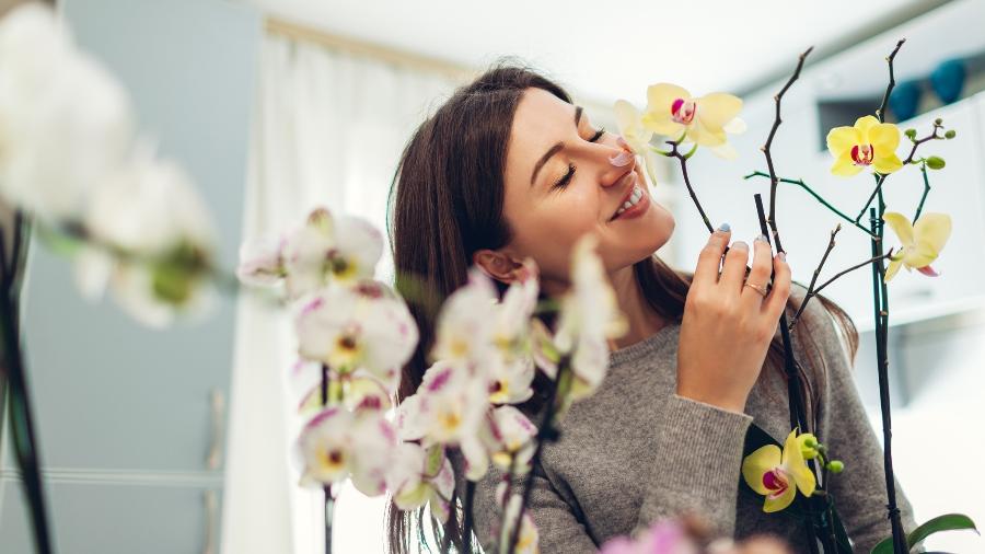 Flores podem trazer mais harmonia à sua casa