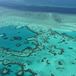 Temperatura na Grande Barreira de Corais é a maior em 400 anos