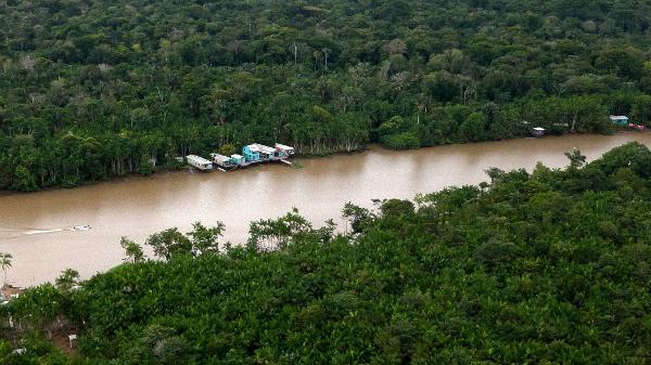 Colapso da Amazônia comprometeria não apenas sua biodiversidade e os povos que dela dependem, mas também o clima do planeta