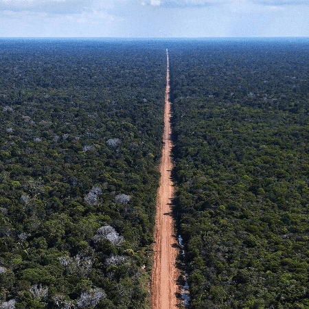 A pavimentação da BR-319 espelha as polêmicas em torno do projeto que muda as regras de licenciamento ambiental A pavimentação da BR-319 espelha as polêmicas em torno do projeto que muda as regras de licenciamento ambiental
