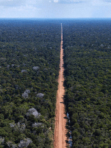 A pavimentação da BR-319 levaria a Amazônia a mais desmatamento, afetando a produção de chuvas do Brasil e colocando em risco as comunidades indígenas A pavimentação da BR-319 levaria a Amazônia a mais desmatamento, afetando a produção de chuvas do Brasil e colocando em risco as comunidades indígenas