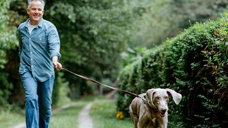 Caminhar, passear com o cachorro, andar - iStock - iStock