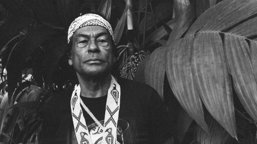 Aílton Krenak, eleito intelectual do ano e autor de “A vida não é útil” - Divulgação Festival Salve Vida Indígena