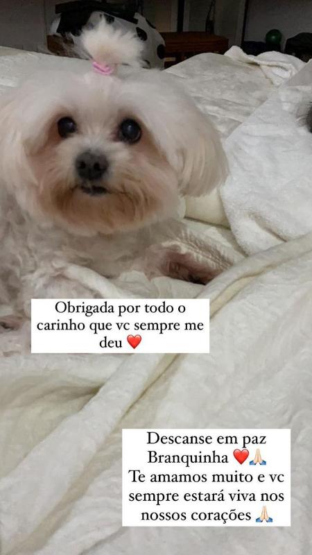 Yasmin Brunet lamenta morte de sua cachorrinha - Reprodução/Instagram - Reprodução/Instagram