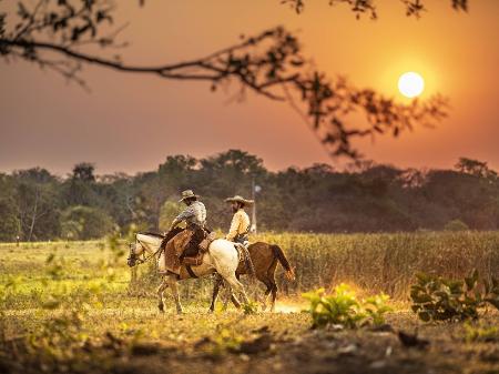 CONHEÇA ROTAS PARA ANDAR A CAVALO NO PANTANAL E OUTRAS REGIÕES - Lugares ECO