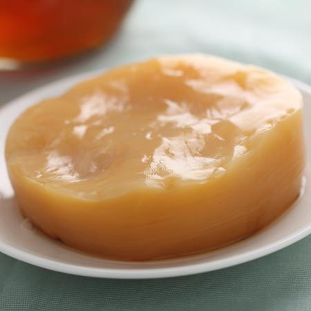 Scoby para kombucha - iStock - iStock