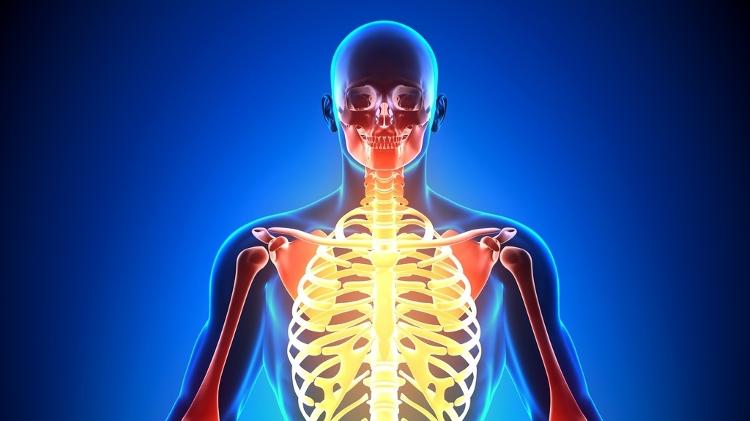 Esqueleto, corpo humano, corpo todo, fibromialgia, dor - iStock - iStock
