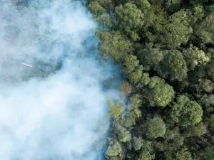 Pandemia do fogo: o que resta ao sujeito menor ante a destruição do mundo?