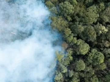 Julián Fuks: Pandemia do fogo: o que resta ao sujeito menor ante a destruição do mundo?