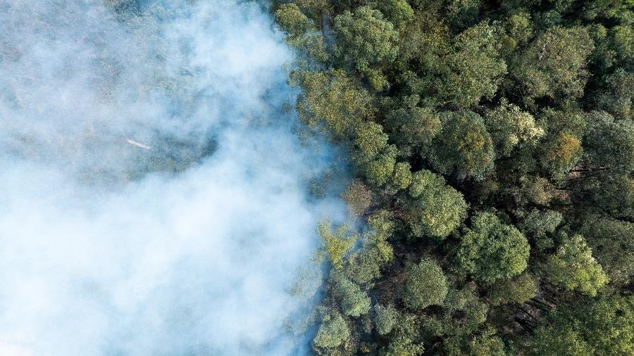 Incêndio em mata próximo ao bairro de Perus, na cidade de São Paulo