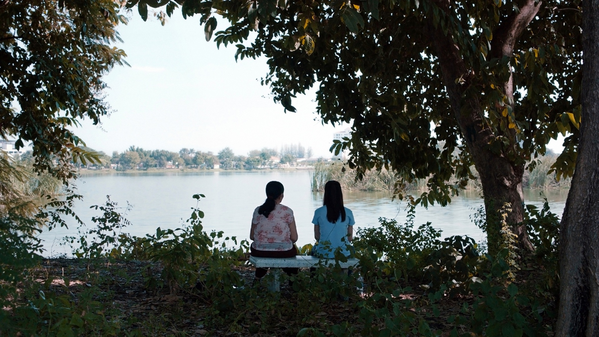 Cena do filme "Cemitério do Esplendor" - Divulgação