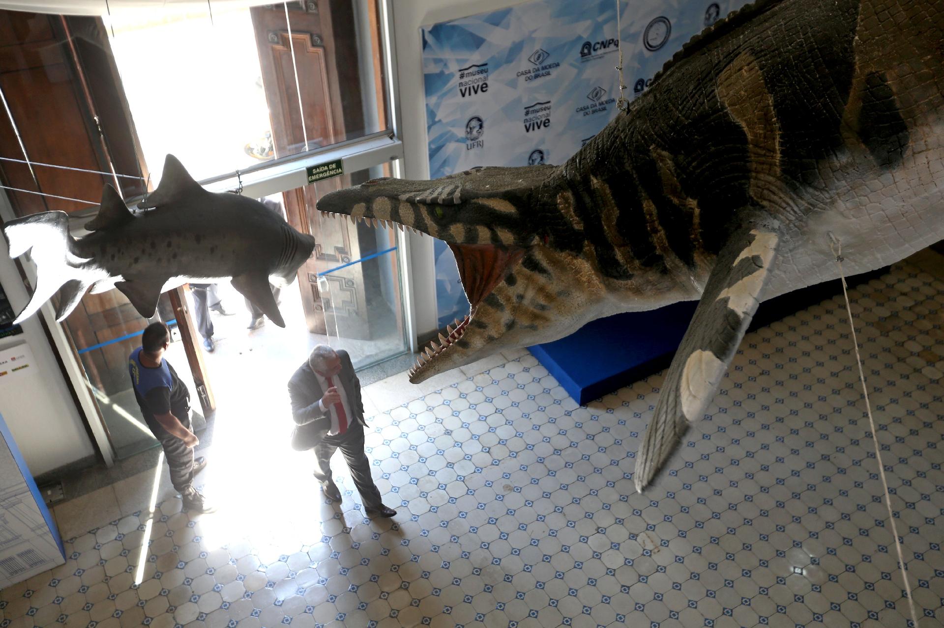 Museu Nacional apresenta exposição sobre Antártida, a primeira após incêndio - Wilton Junior/Estadão Conteúdo