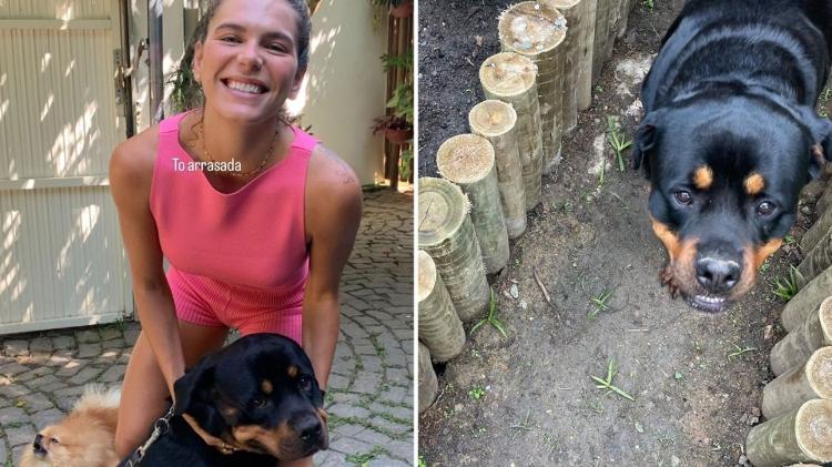 Mariana Goldfarb lamenta morte do cachorro de Cauã Reymond
