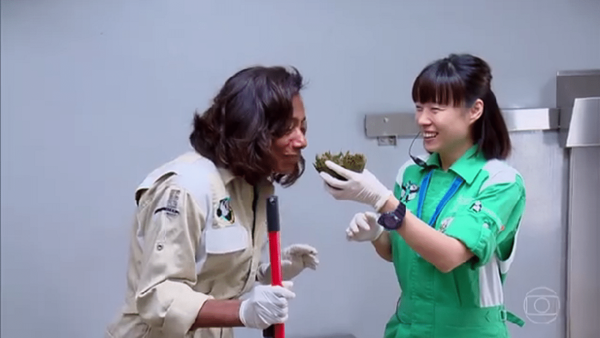 Glória Maria cheira cocô de panda e diz. "Tem cheirinho de chá verde" - Reprodução/TV Globo