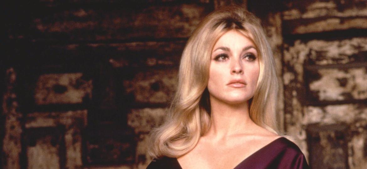Image result for sharon tate