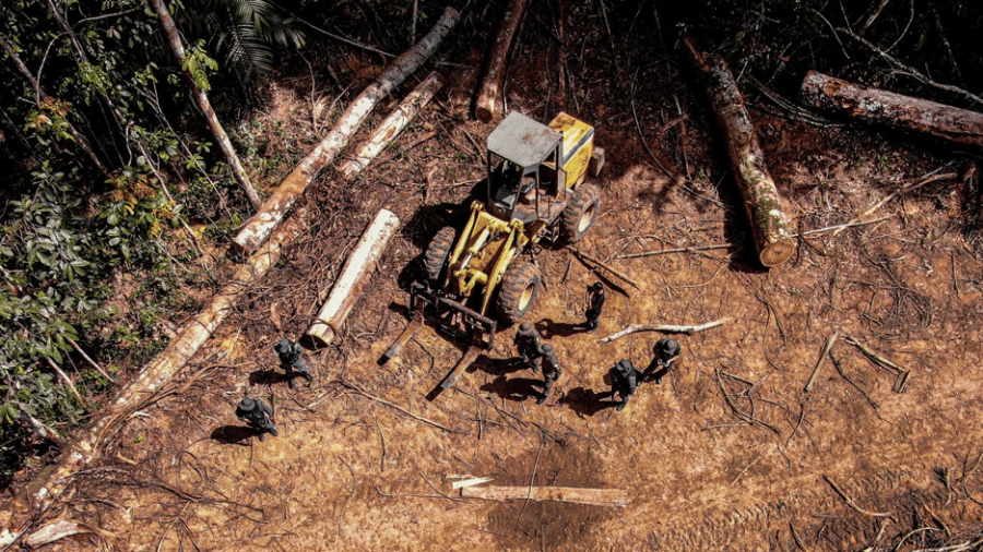 Flagrante de desmatamento e exploração florestal ilegais no Mato Grosso - Alan Assis/Semas