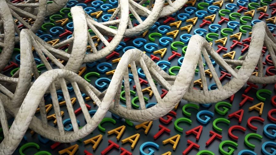 Teste genético identifica mutação da mucopolissacaridose - iStock