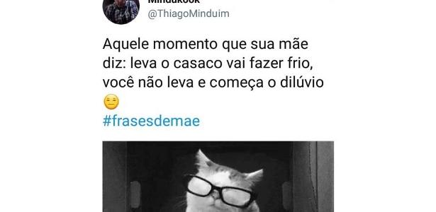 vídeos engraçados  Meme de mãe, Engraçado, Memes hilários