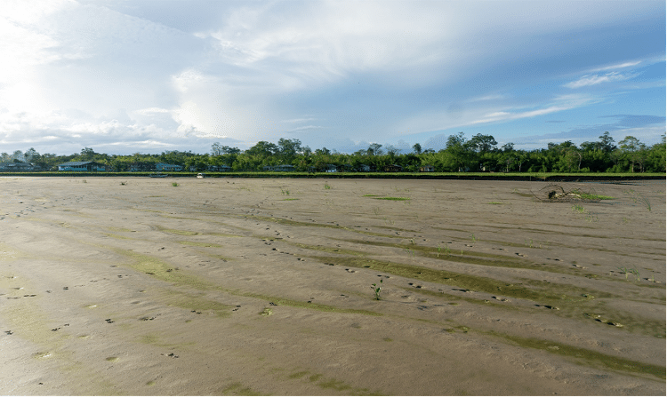 Afluente do Rio Amazonas que secou em frente à comunidade do Livramento, no norte do Arquipélago do Bailique