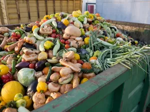 Qual é o custo social e ambiental do desperdício de alimentos?