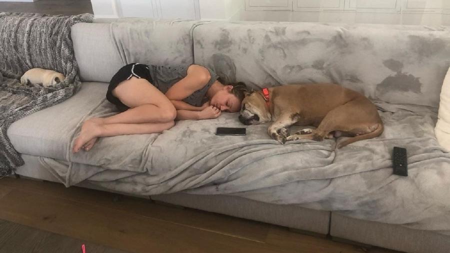 Kaley Cuoco e o marido adotaram cachorra em idade avançada  - Reprodução/Instagram