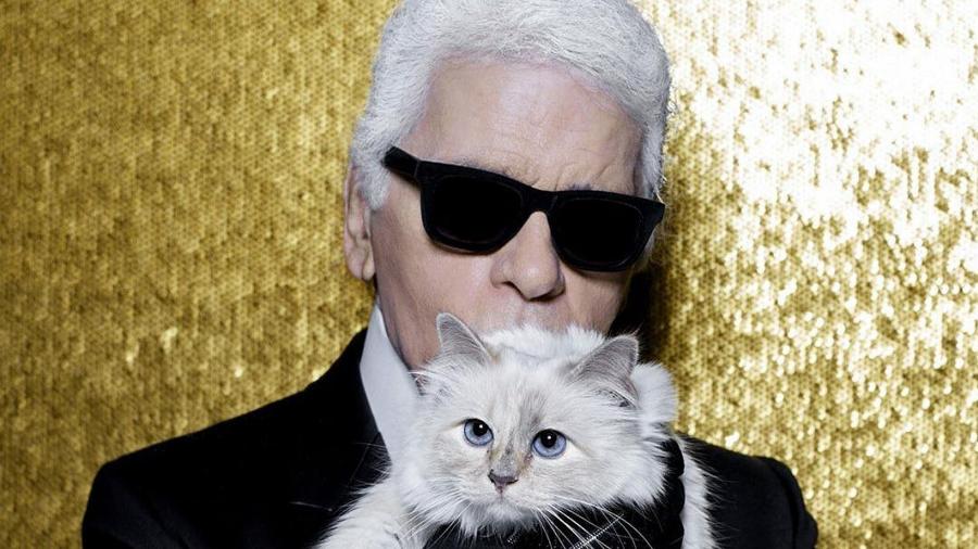 Karl Lagerfeld era dono de Choupette  - Reprodução