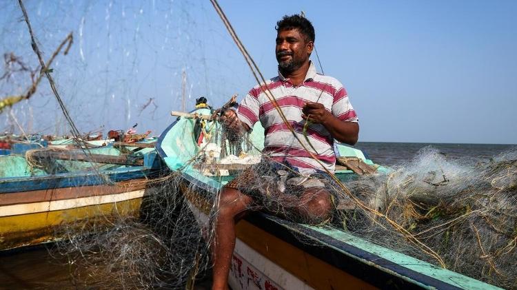 Murugesan diz que a carne de dugongo pode ser vendida por 300 a 400 rúpias por quilo, o que significa que um dugongo adulto poderia gerar um ganho 100 vezes superior ao que um pescador normalmente ganharia em um dia