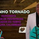 Toninho Tornado