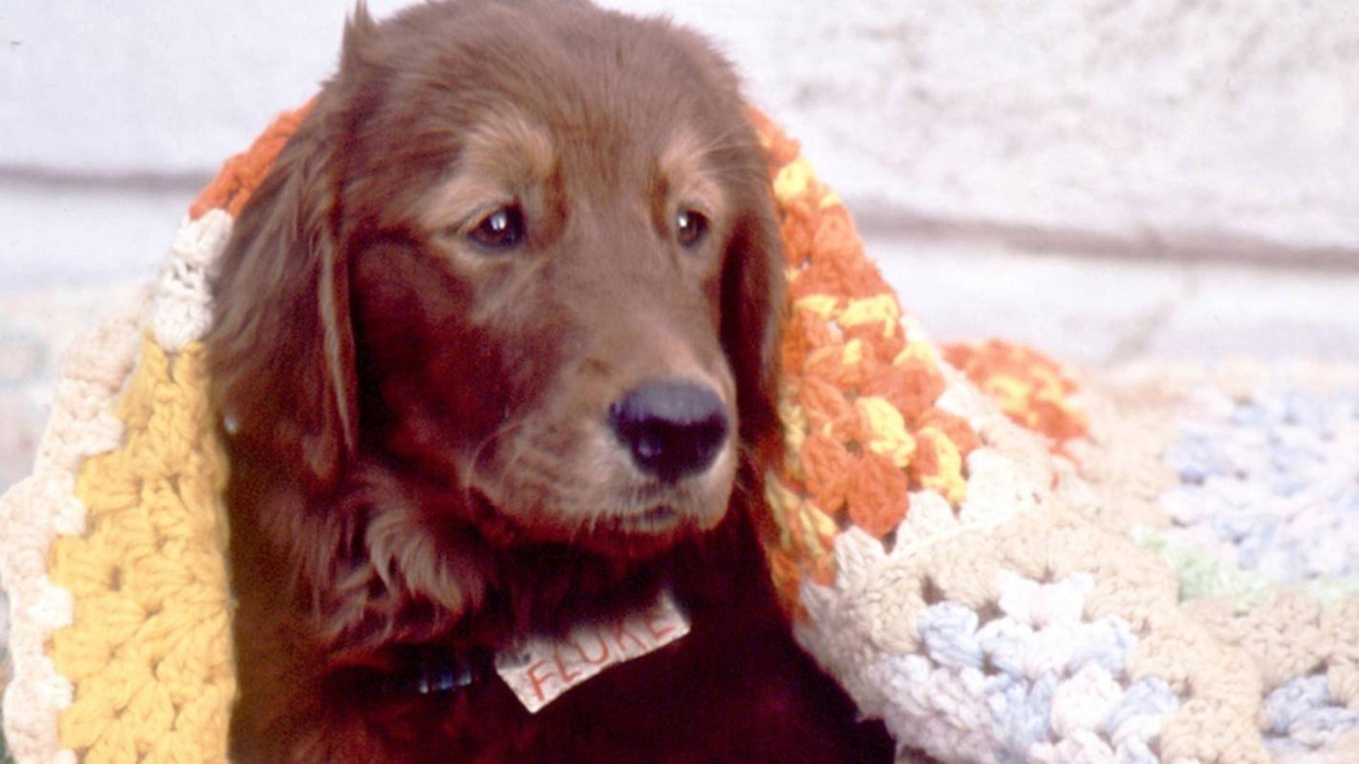 Cena do filme "Lembranças de Outra Vida" (1995), de Carlo Carlei - Reprodução