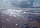 Contaminação em praias do Nordeste é 