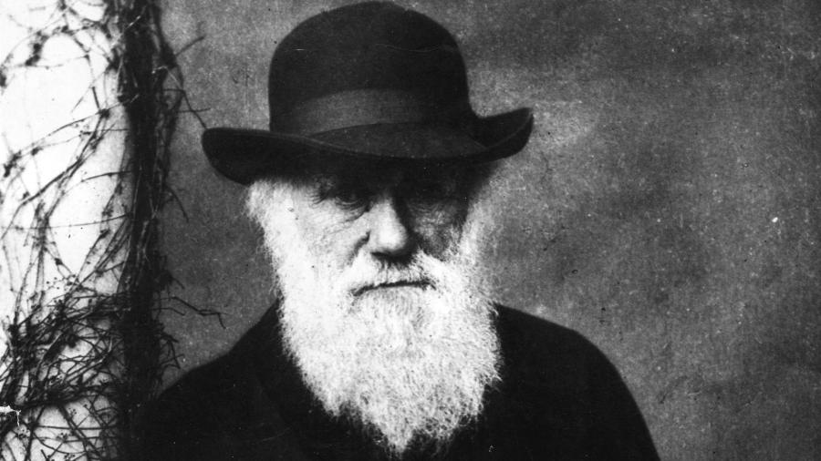 Charles Darwin criou os princípios da teoria da evolução