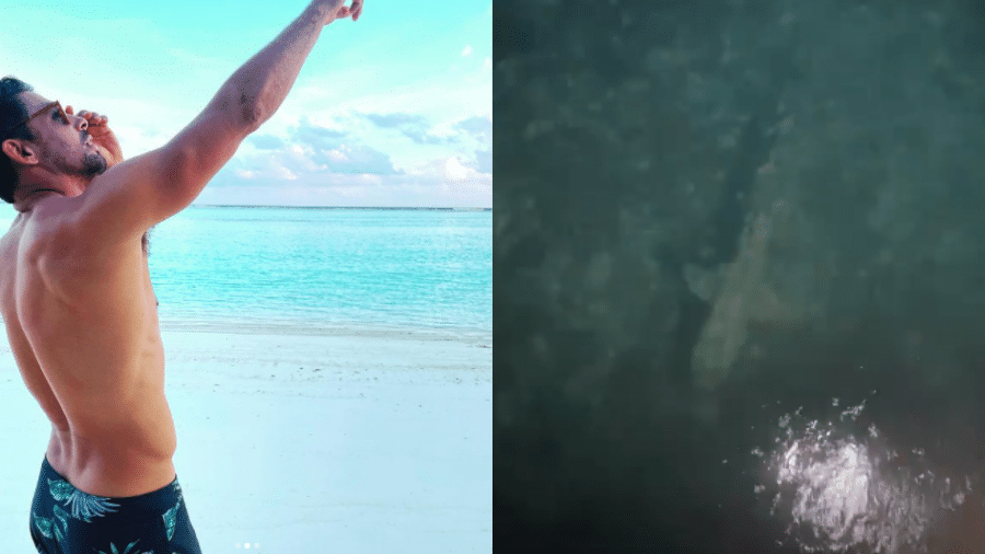 Cauã registrou encontro com tubarão e partes de sua rotina durante estadia nas Maldivas - Reprodução/Instagram