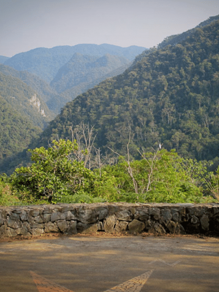 Parque Estadual Turístico do Alto Ribeira (Petar)    - Divulgação/petaronline.com.br