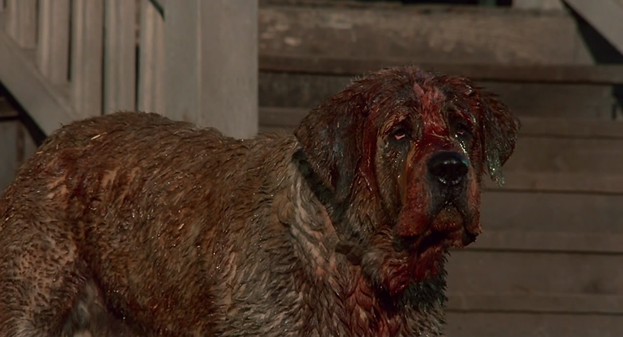 Cena do filme "Cujo" (1983) dirigido por Lewis Teague - Reprodução