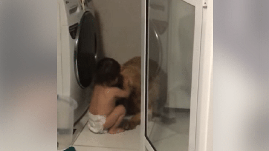 Bebê de um ano conversa com cachorro em vídeo que viralizou na web - Reprodução/Facebook