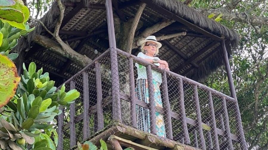 Ana Maria Braga posa em sua casa da árvore  - Reprodução/Instagram
