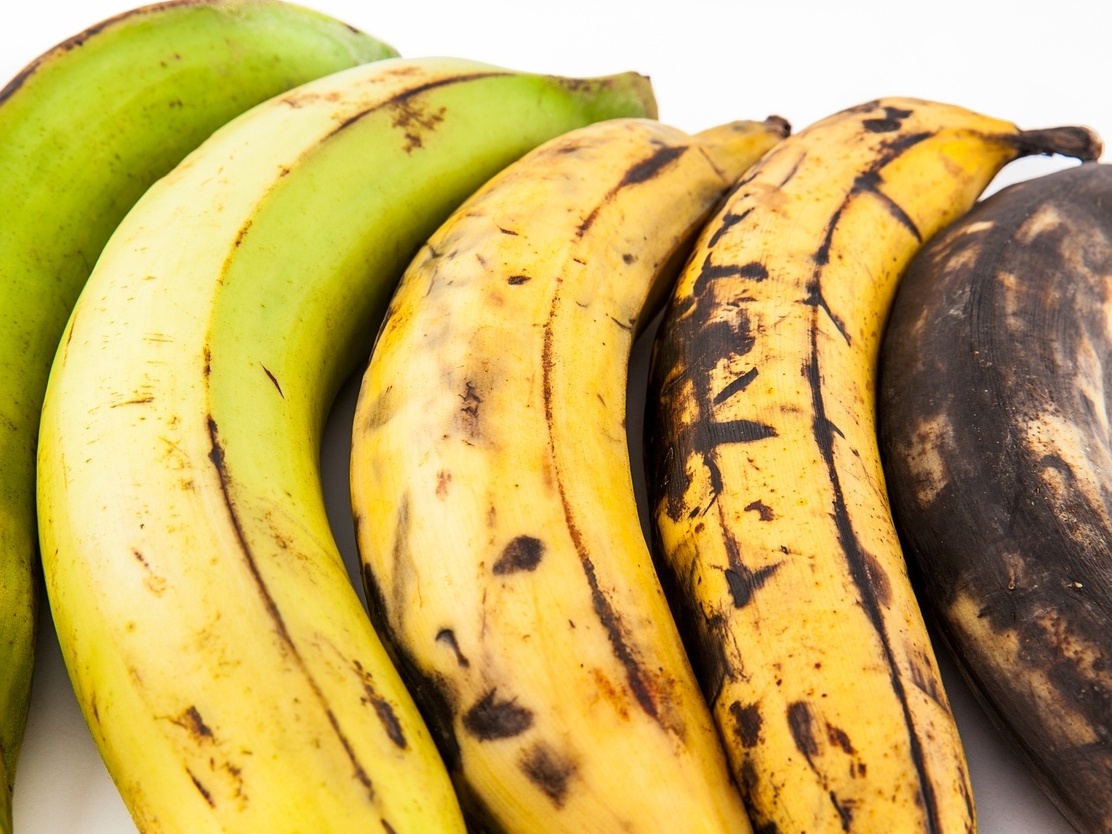 Vídeo de larva em banana no microscópio é fake; entenda