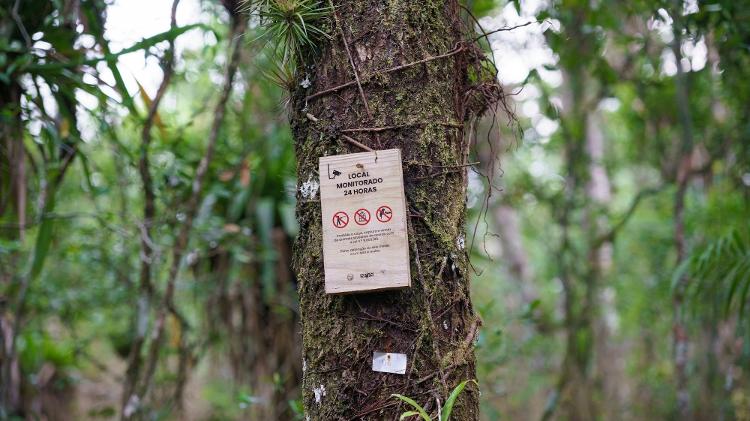 Aviso da presença de câmeras de monitoramento de ninhos no interior da Ilha Rasa Aviso da presença de câmeras de monitoramento de ninhos no interior da Ilha Rasa