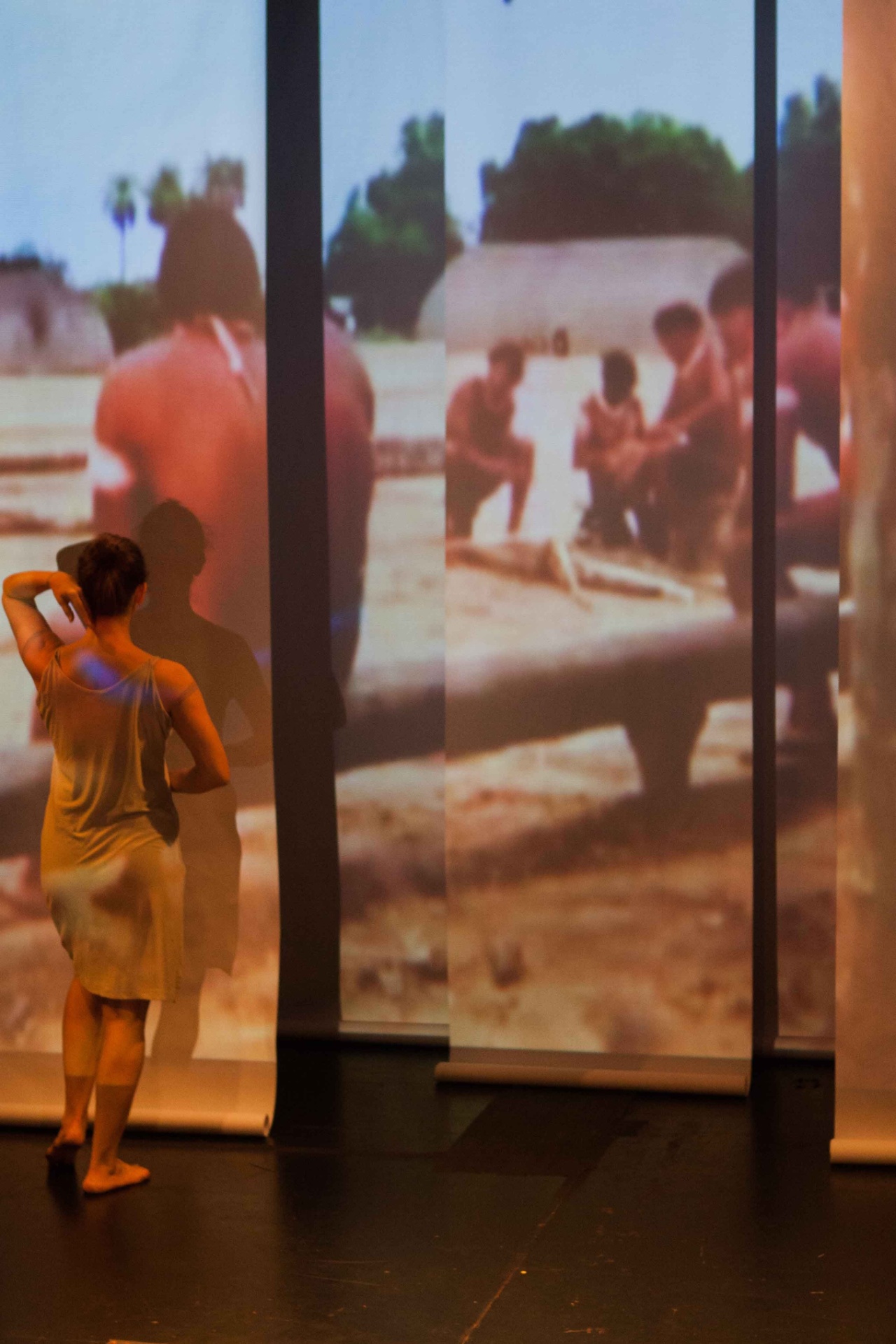 ?Gavião de Duas Cabeças? - Divulgação