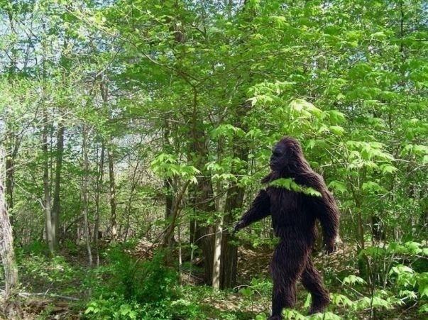 Em Busca do Pé Grande (Discovery) - Reprodução