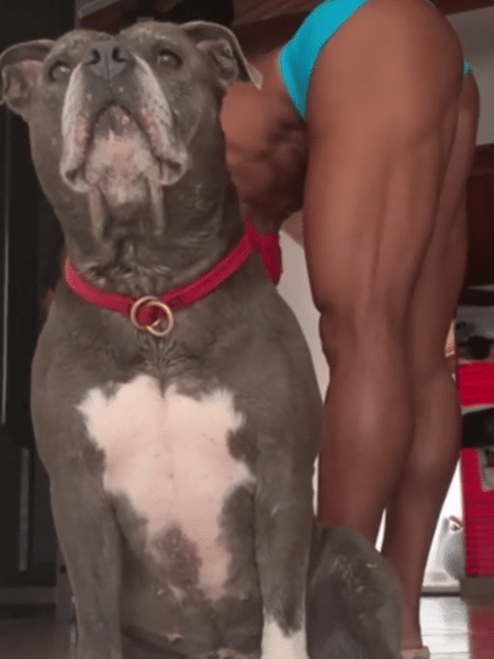 Gracyanne Barbosa e cão durante treino - Reprodução