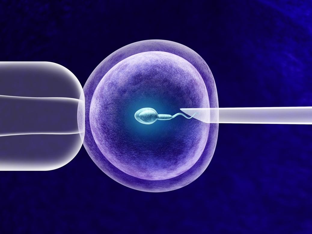 Problemas de fertilidade são mais frequentes do que muitas pessoas imaginam