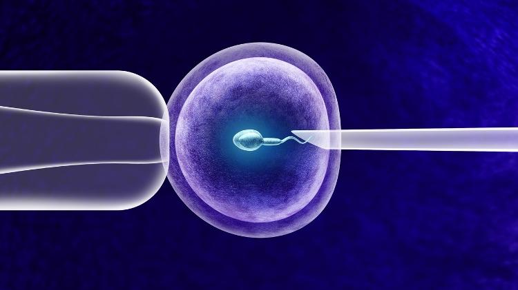 Formas de fertilização in vitro são a nova tendência do Vale do Silicio - iStock - iStock