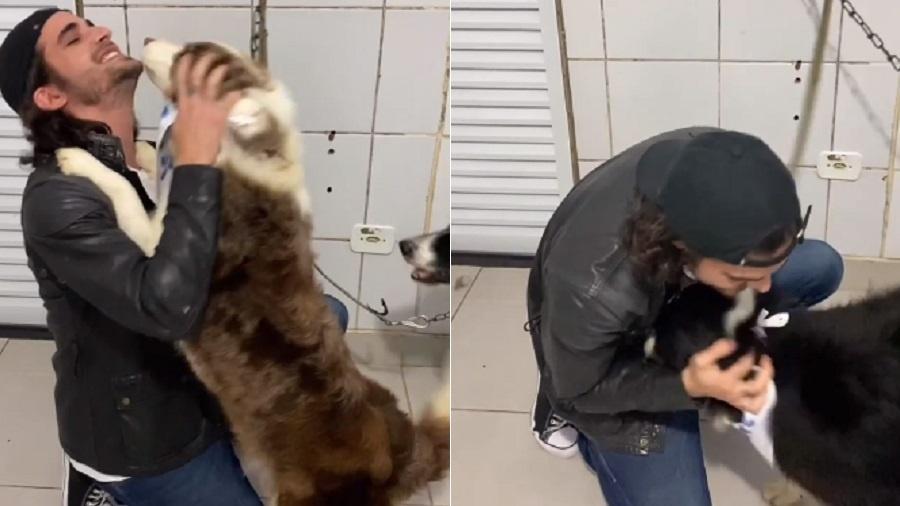 Fiuk busca cães em abrigo após polêmica de abandono - Reprodução/Instagram