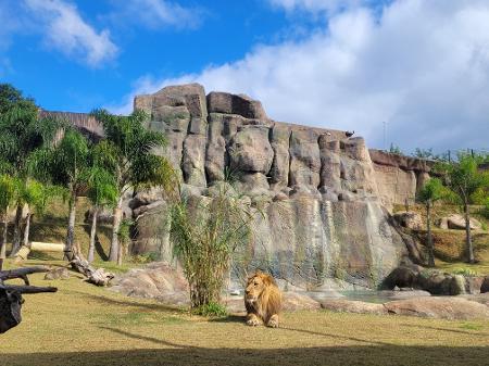 Animália Park abre para o público nesta sexta-feira - 05/07/2023 - Passeios  - Guia Folha