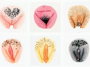 Vagina não é vulva, e a sua é única! Aprenda mais com estas 6 curiosidades