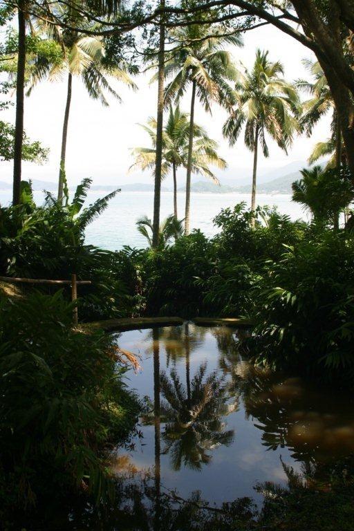 Conheça a vida do casal que deixou Miami para viver em uma ilha no Brasil - Arquivo pessoal